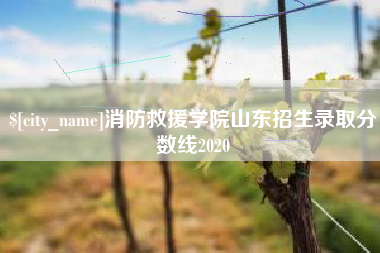 新乡消防救援学院山东招生录取分数线2020
