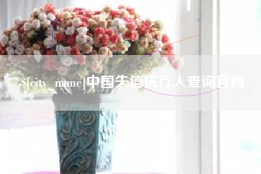 新乡中国失信执行人查询官网