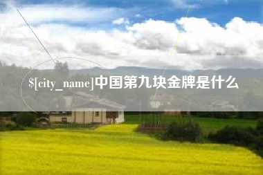 新乡中国第九块金牌是什么