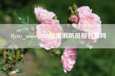 新乡2021国家消防员报名官网