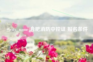 新乡合肥消防中控证 报名条件