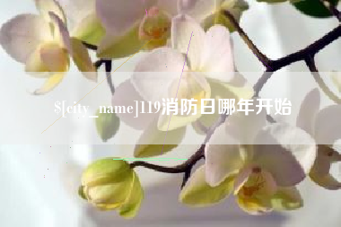 新乡119消防日哪年开始