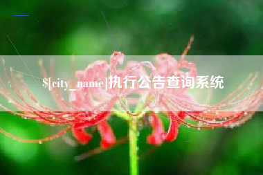 新乡执行公告查询系统