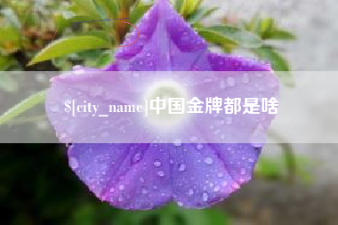 新乡中国金牌都是啥