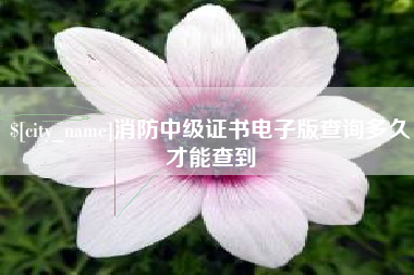新乡消防中级证书电子版查询多久才能查到