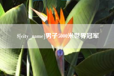 新乡男子5000米世界冠军