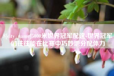 新乡5000米世界冠军配速-世界冠军们往往能在比赛中巧妙地分配体力