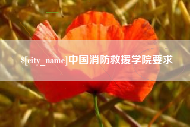 新乡中国消防救援学院要求