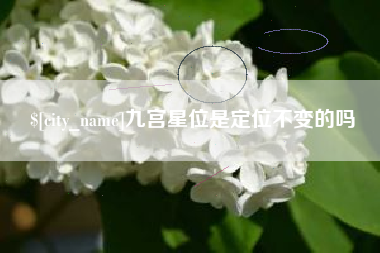 新乡九宫星位是定位不变的吗