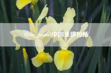 新乡中国金牌包括
