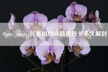 新乡民事纠纷冻结银行卡多久解封