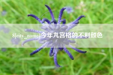 新乡今年九宫格的不利颜色