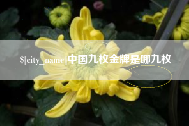 新乡中国九枚金牌是哪九枚
