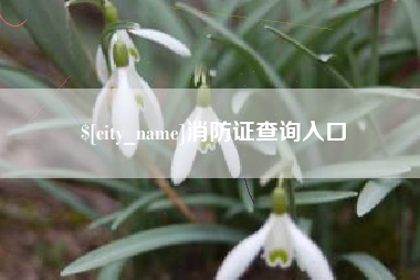新乡消防证查询入口