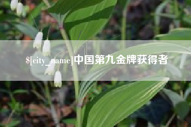 新乡中国第九金牌获得者