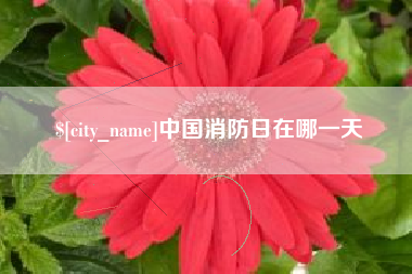 新乡中国消防日在哪一天