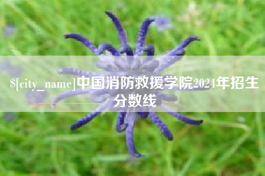 新乡中国消防救援学院2024年招生分数线