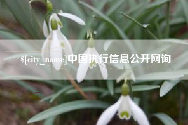 新乡中国执行信息公开网询