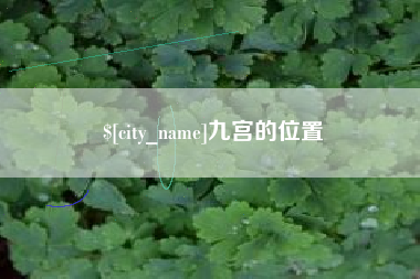 新乡九宫的位置