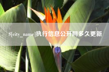 新乡执行信息公开网多久更新