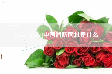 新乡中国消防网址是什么