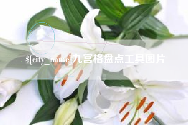 新乡九宫格盘点工具图片
