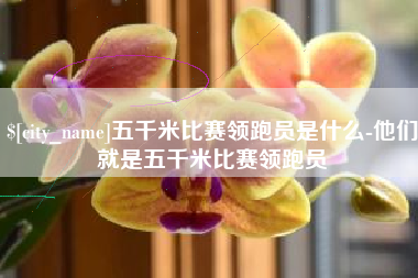 新乡五千米比赛领跑员是什么-他们就是五千米比赛领跑员
