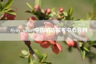 新乡中国消防报考中心官网