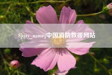 新乡中国消防救援网站