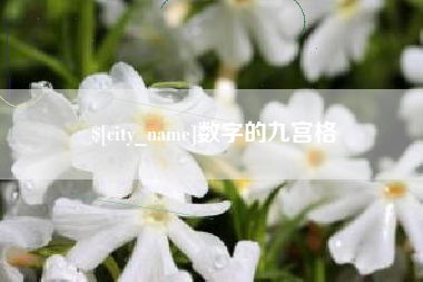 新乡数字的九宫格