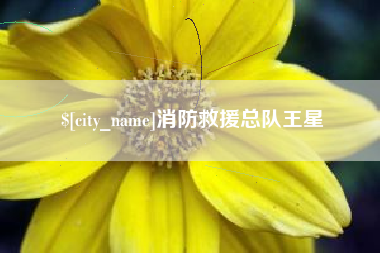 新乡消防救援总队王星
