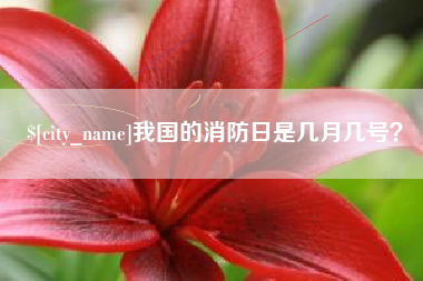 新乡我国的消防日是几月几号？