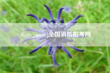 新乡全国消防招考网