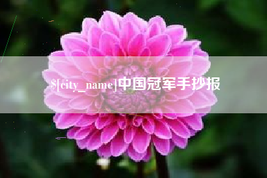 新乡中国冠军手抄报