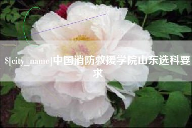 新乡中国消防救援学院山东选科要求