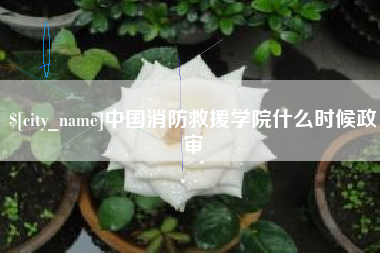 新乡中国消防救援学院什么时候政审
