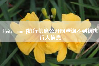 新乡执行信息公开网查询不到被执行人信息