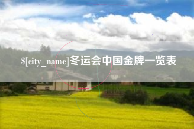 新乡冬运会中国金牌一览表