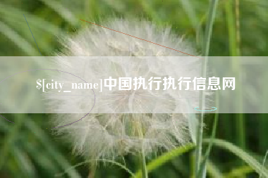 新乡中国执行执行信息网
