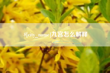新乡九宫怎么解释