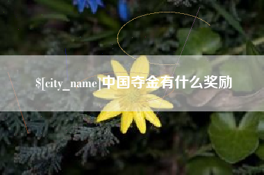 新乡中国夺金有什么奖励