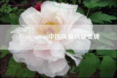 新乡中国队第八块金牌
