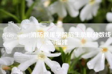 新乡消防救援学院招生录取分数线2020福建