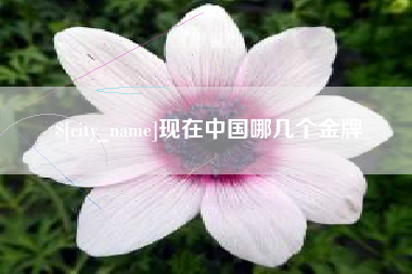 新乡现在中国哪几个金牌