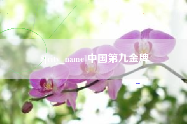 新乡中国第九金牌