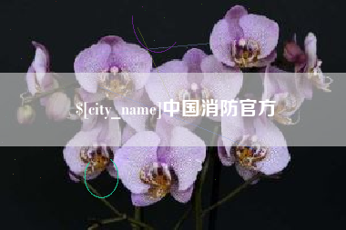 新乡中国消防官方