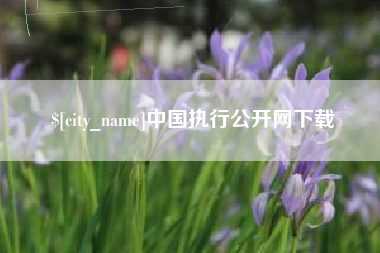 新乡中国执行公开网下载