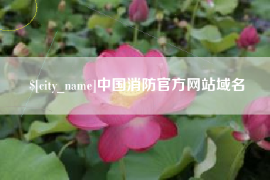 新乡中国消防官方网站域名