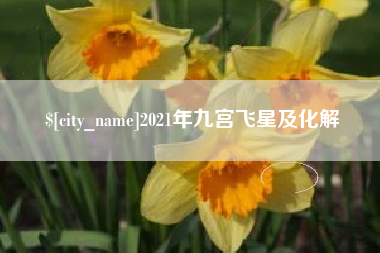 新乡2021年九宫飞星及化解