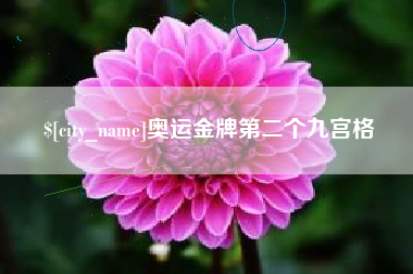 新乡奥运金牌第二个九宫格